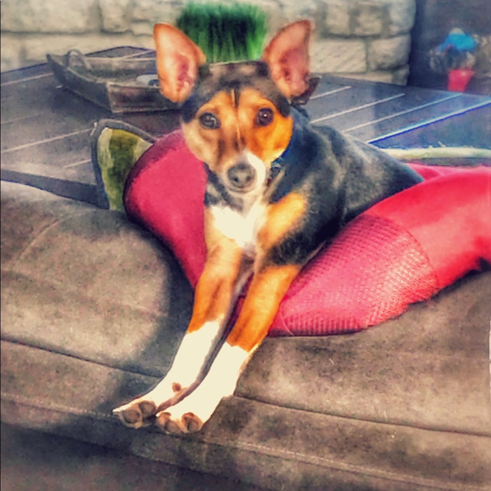 Meet your Posher, Cassidi